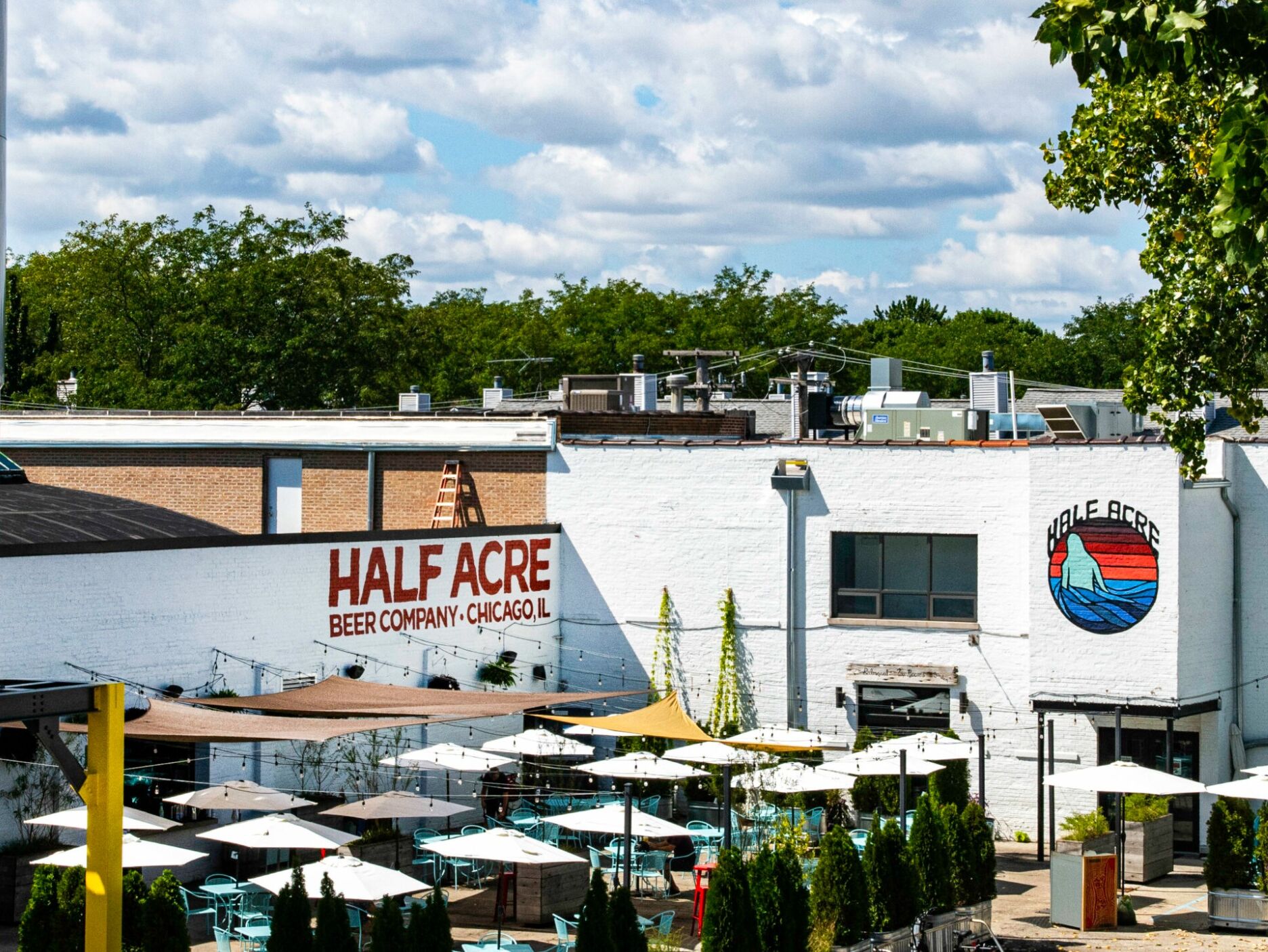 Picture of Half Acre Beer Co