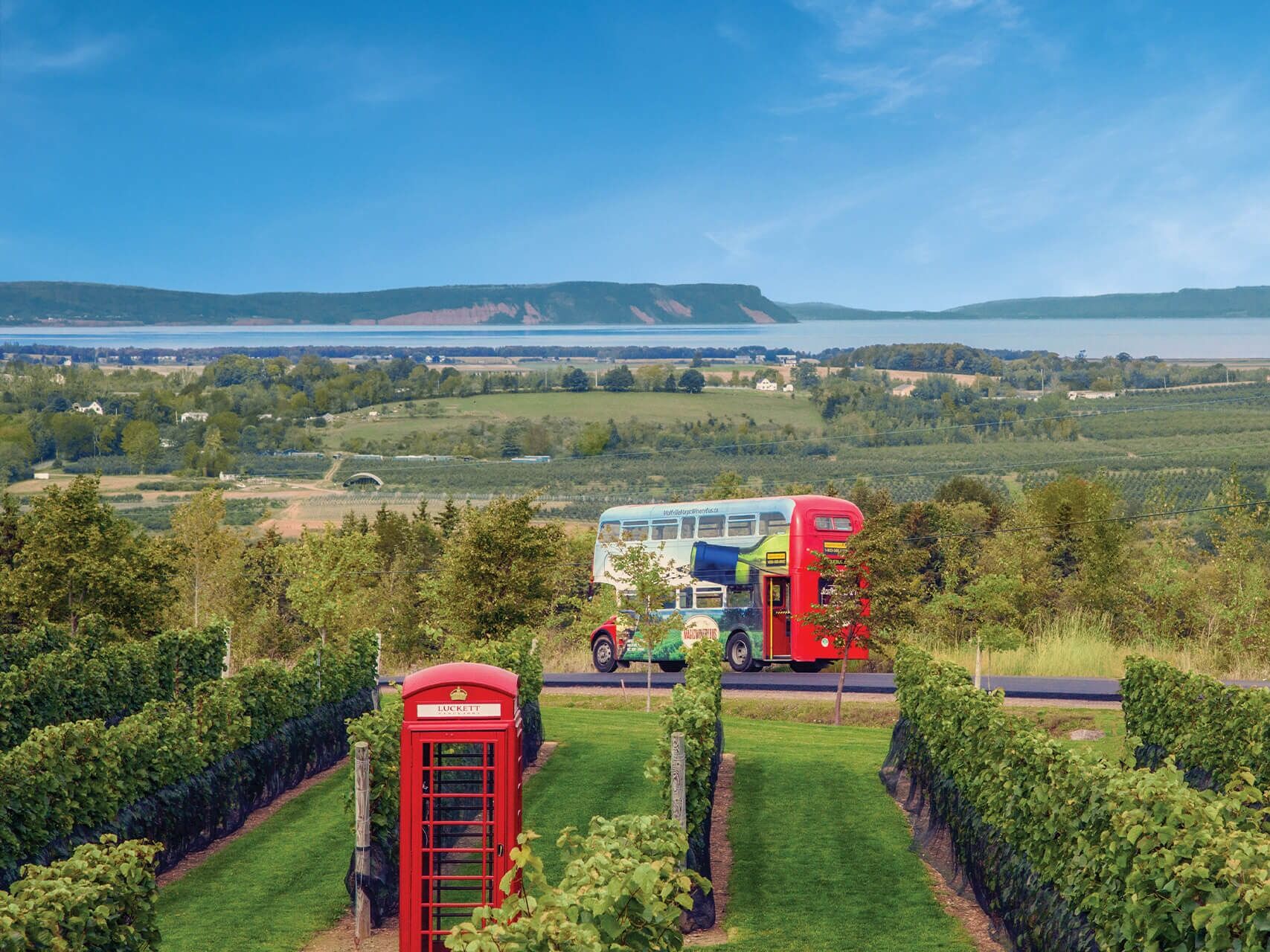 Picture of Magic Winery Bus Limited