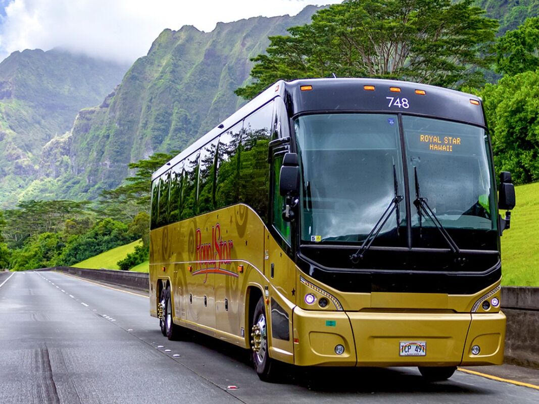 Picture of Royal Star Hawaii Trans & Tours