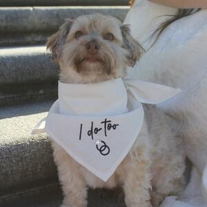 Gallery Photo 21