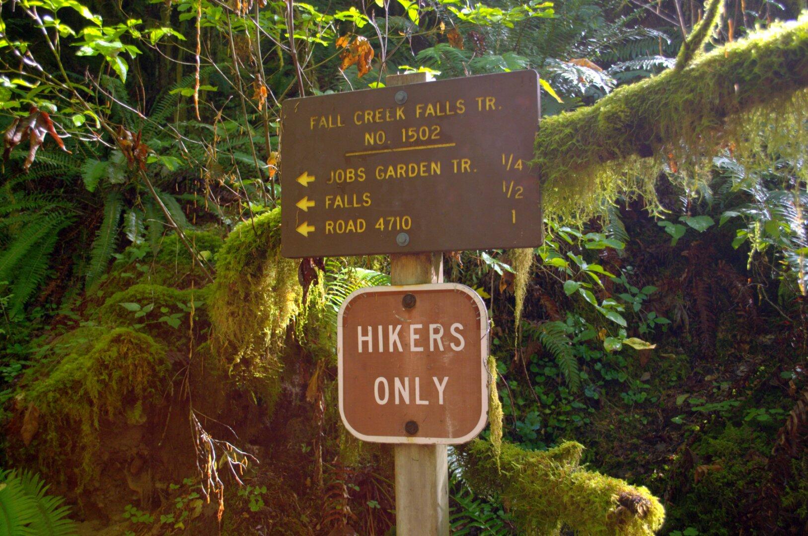Picture of Hiking in Fall Creek