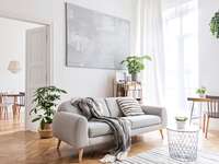 Cozy neutral living room 