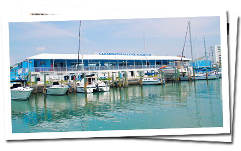 Picture of Clearwater Marine Aquarium