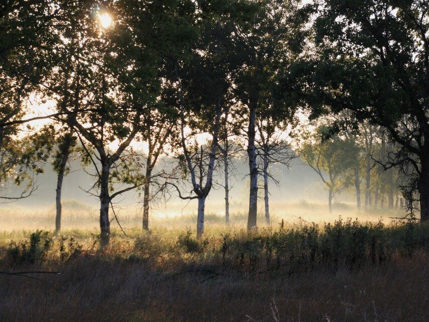 Picture of Crane Meadows National Wildlife Refuge