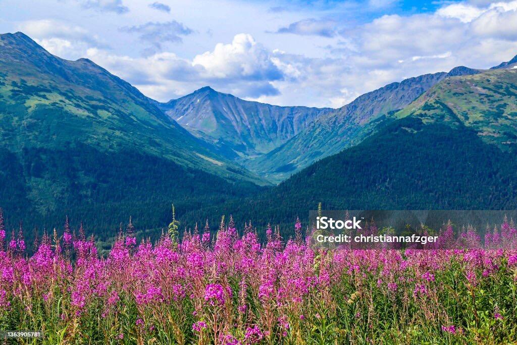 Picture of Chugach State Park