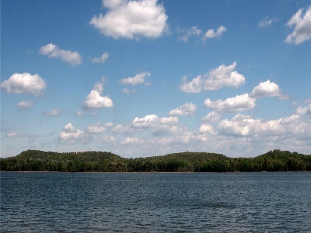 Picture of Chester Frost Park 