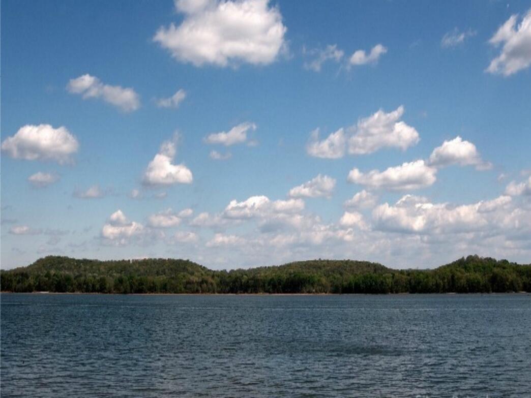 Picture of Chester Frost Park 