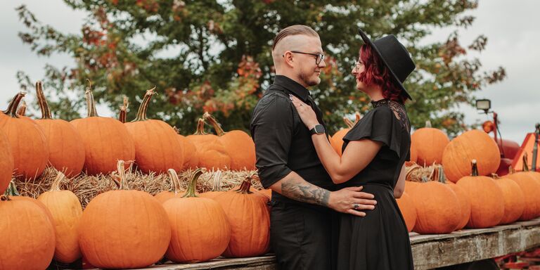 Meghan & David Home Page Banner