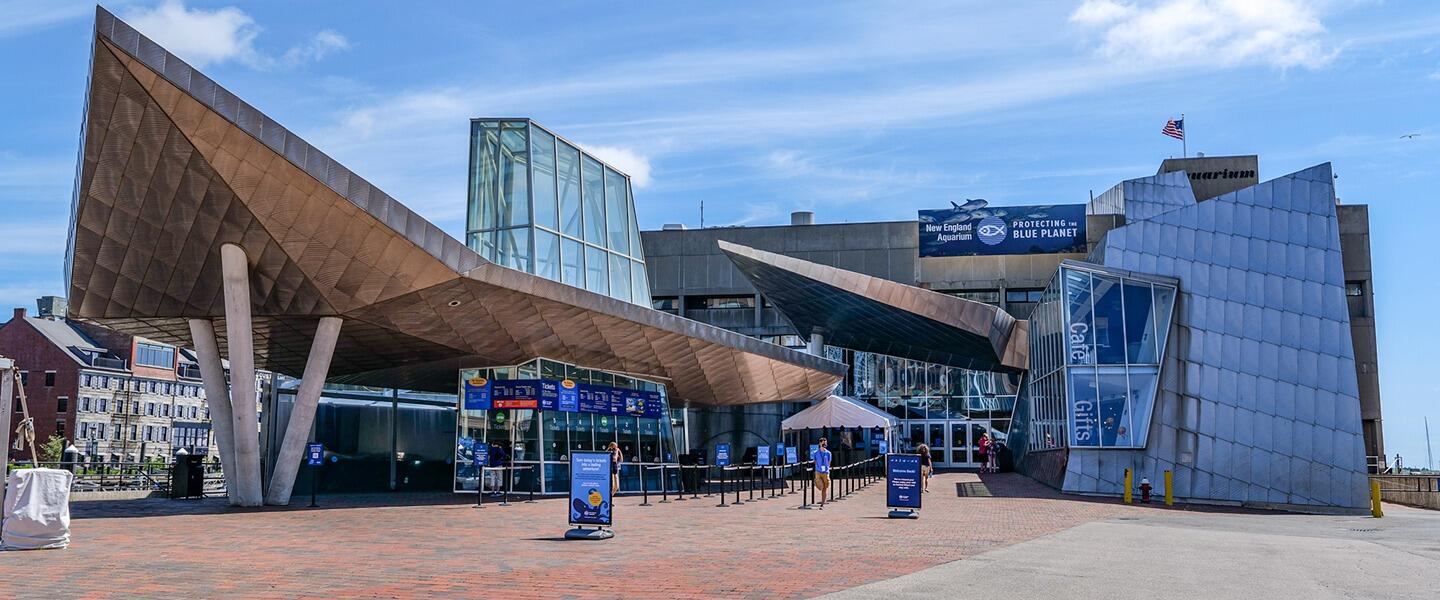 Picture of New England Aquarium
