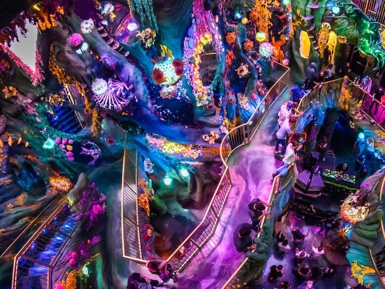 Picture of Meow Wolf
