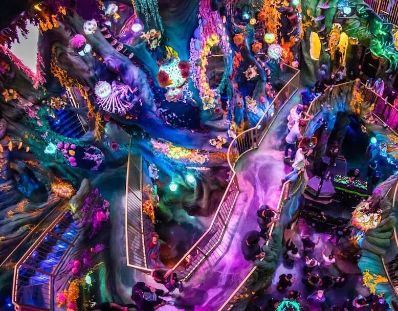 Picture of Meow Wolf