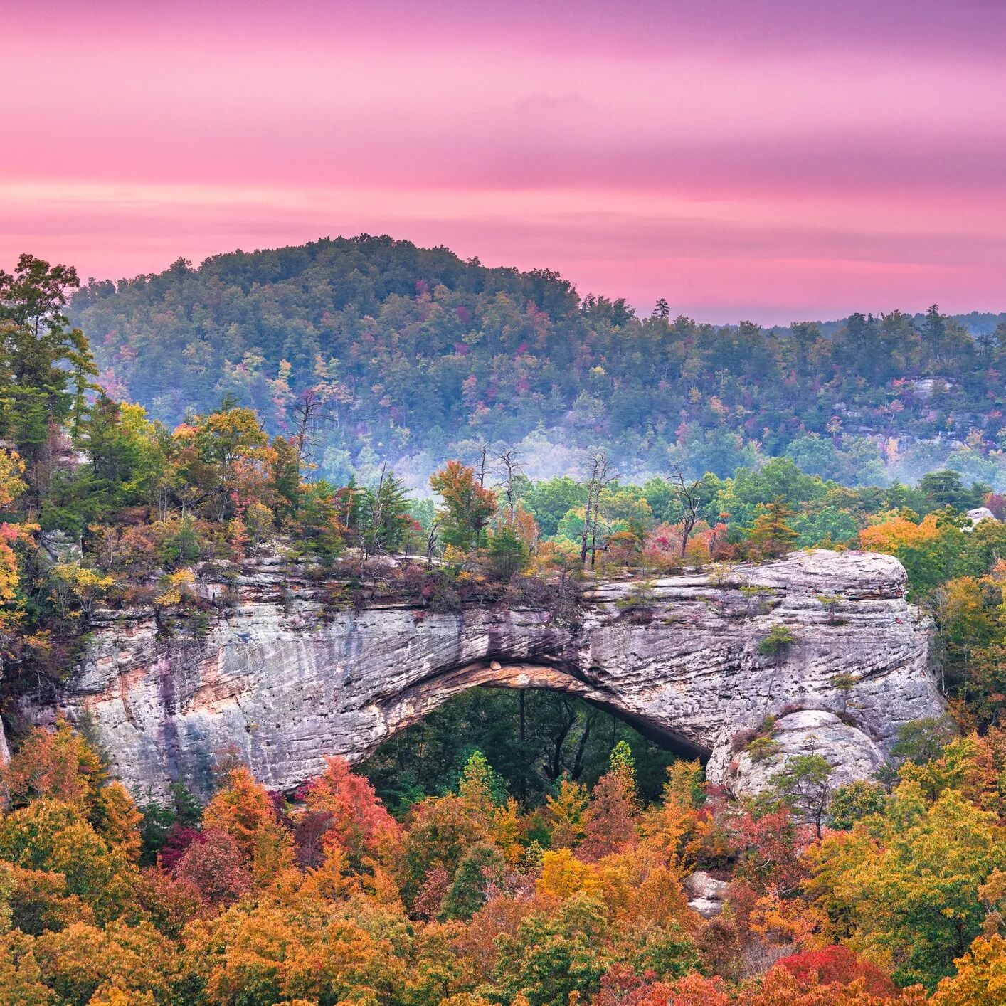 Picture of Red River Gorge Visitor Center at Slade