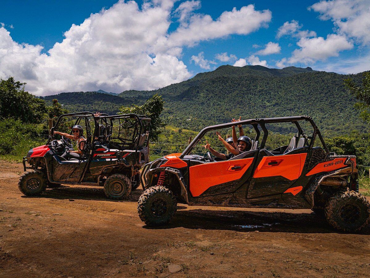 Picture of Carabalí Rainforest Adventure Park