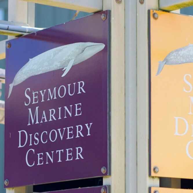 Picture of Seymour Marine Discovery Center
