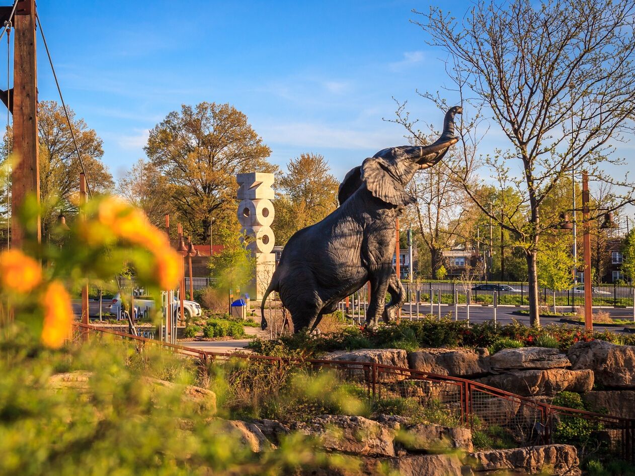 Picture of Saint Louis Zoo