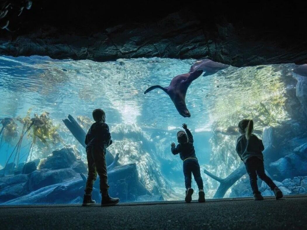 Picture of Omaha's Henry Doorly Zoo and Aquarium