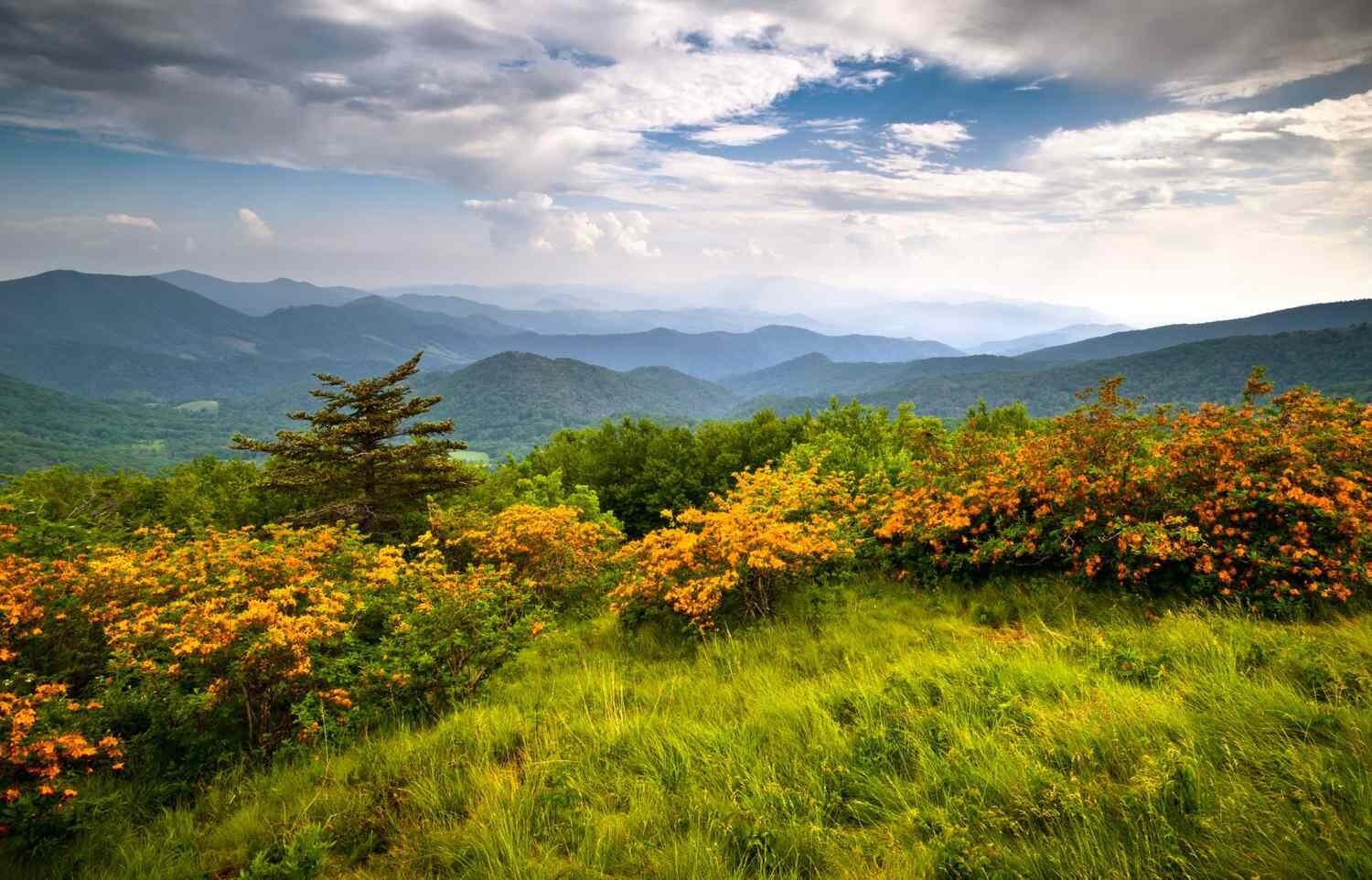 Picture of Highlands 