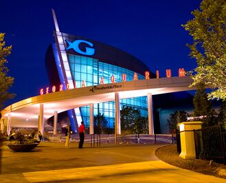 Picture of Georgia Aquarium