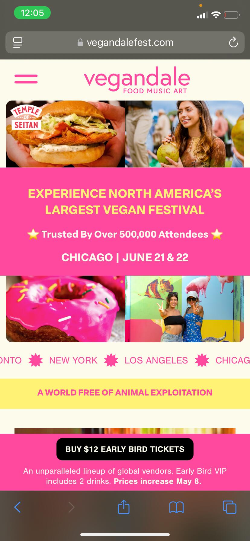 Picture of Vegandale Fest Chicago