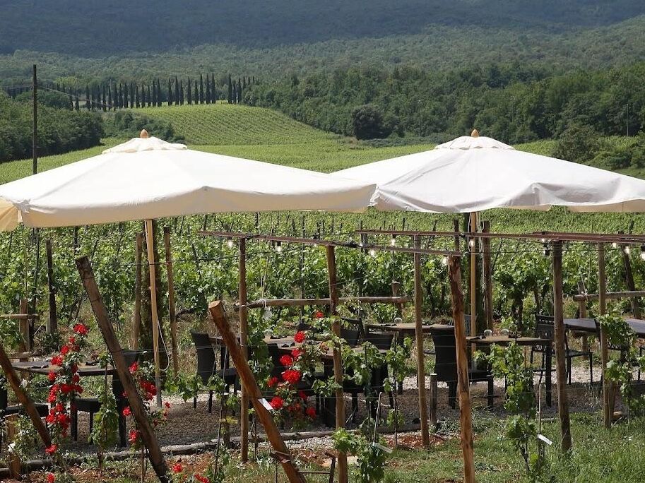 Picture of Dinner in the vineyard