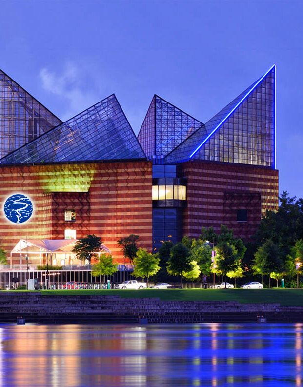 Picture of Tennessee Aquarium