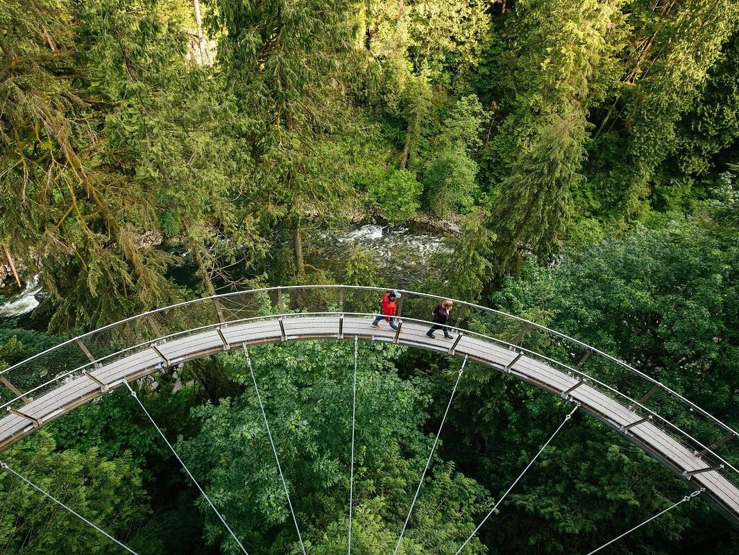 Picture of Capilano Suspension Bridge Park