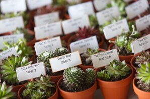 Potted Green Succulent with Escort Cards