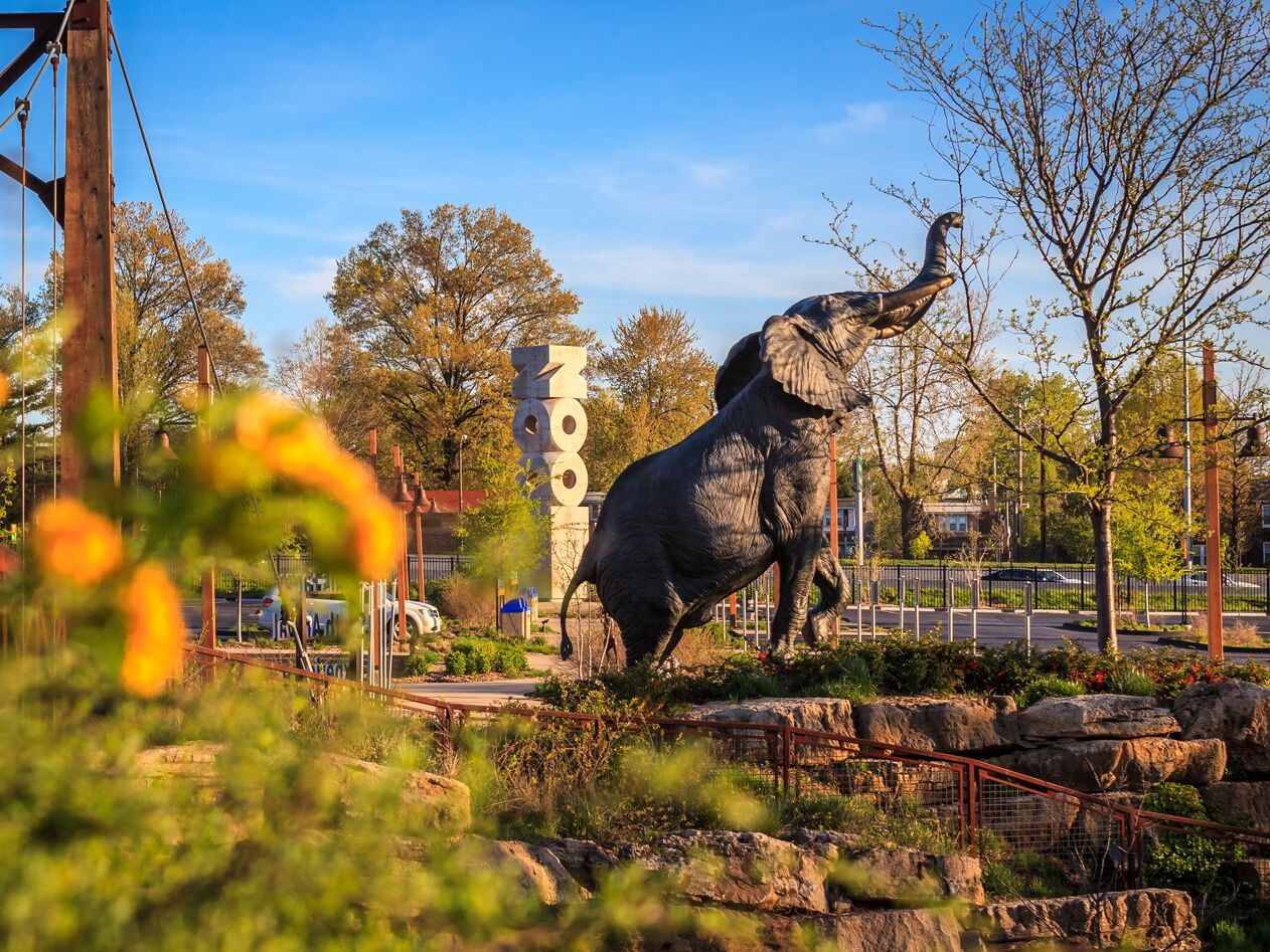 Picture of Forest Park