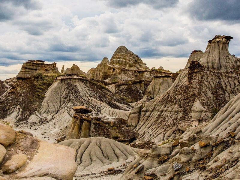 Picture of Dinosaur Provincial Park