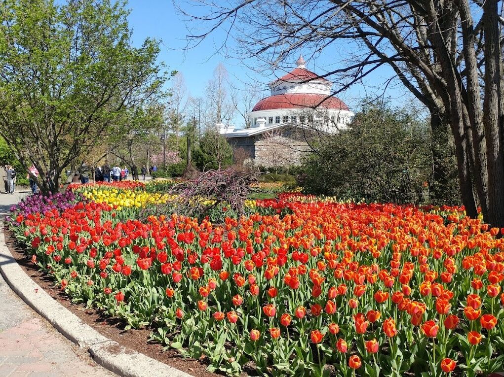 Picture of Cincinnati Zoo & Botanical Garden