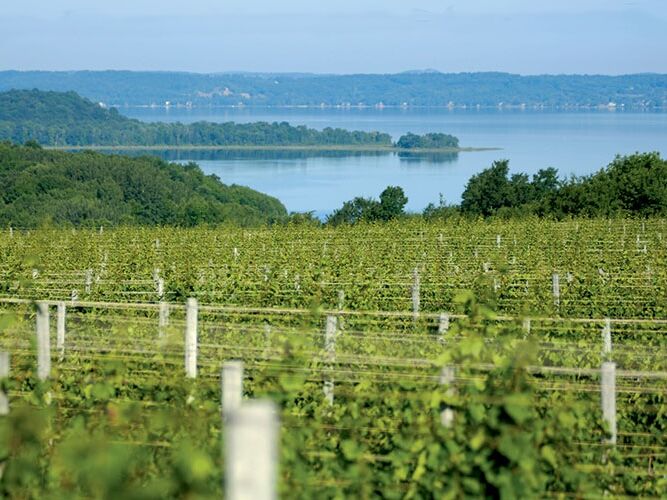 Picture of Leelanau Peninsula Wine Trail