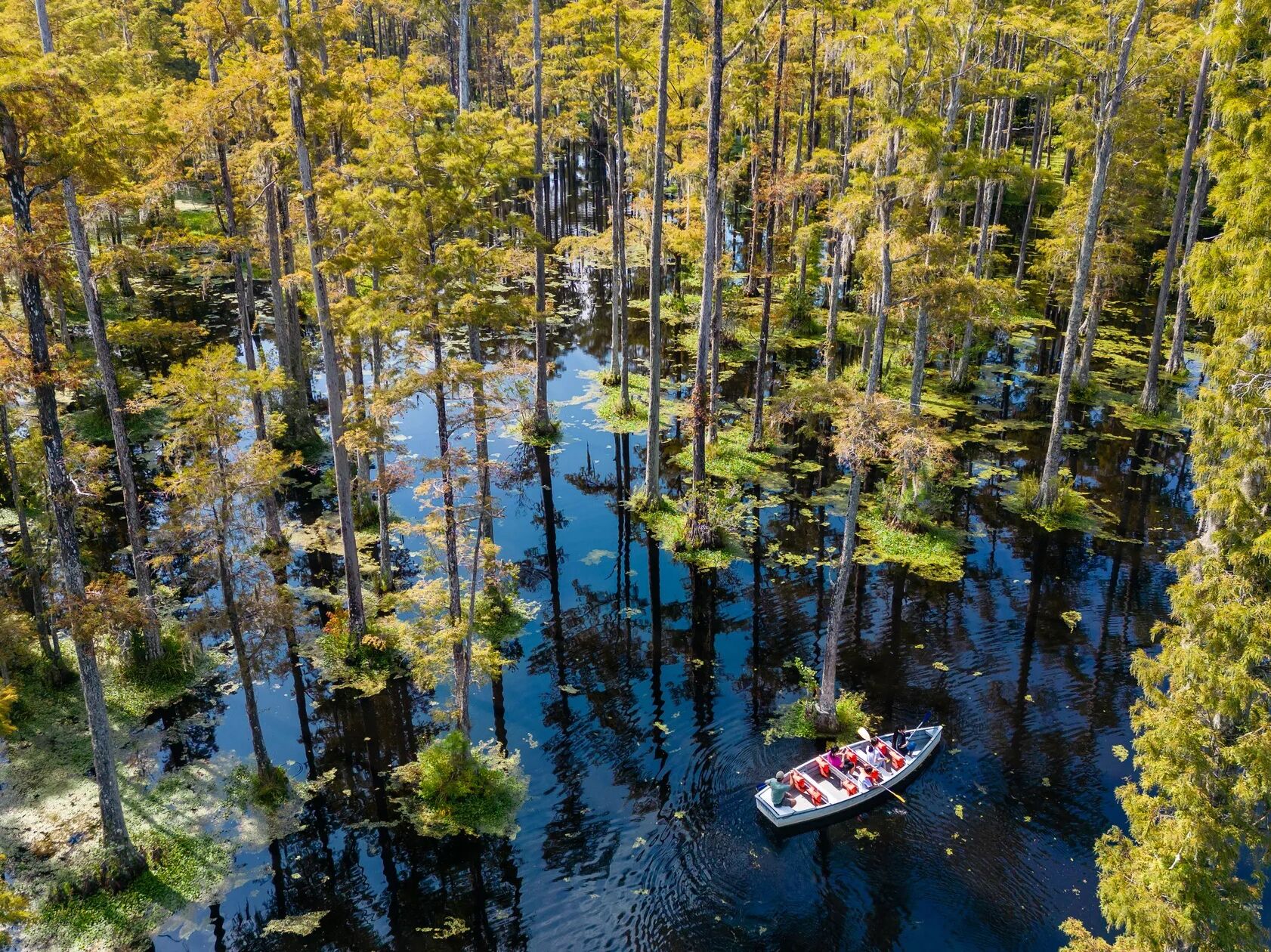 Picture of Cypress Gardens