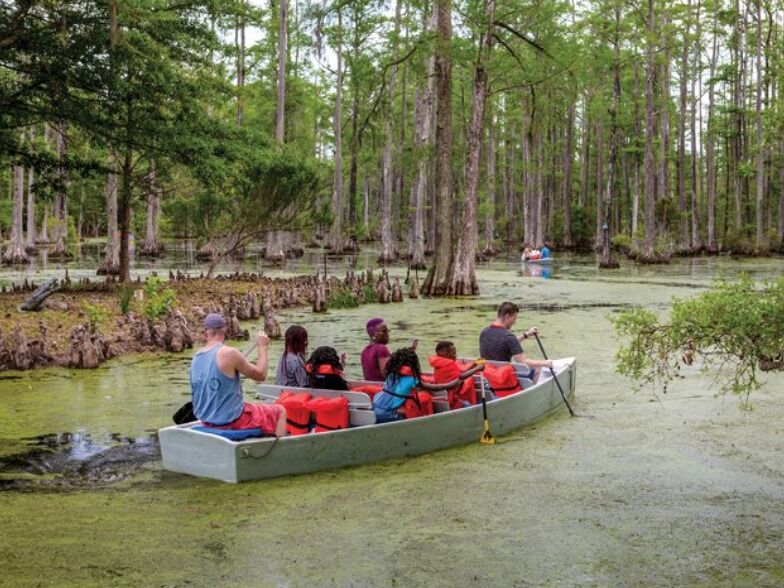 Picture of Cypress Gardens