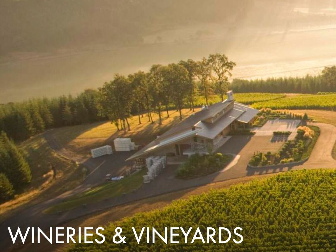 Picture of Willamette Valley Wineries