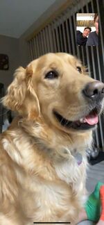 Tucker