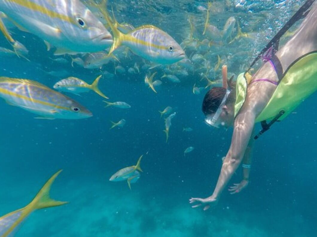 Picture of Florida Reef Half Day  Snorkeling Excursion