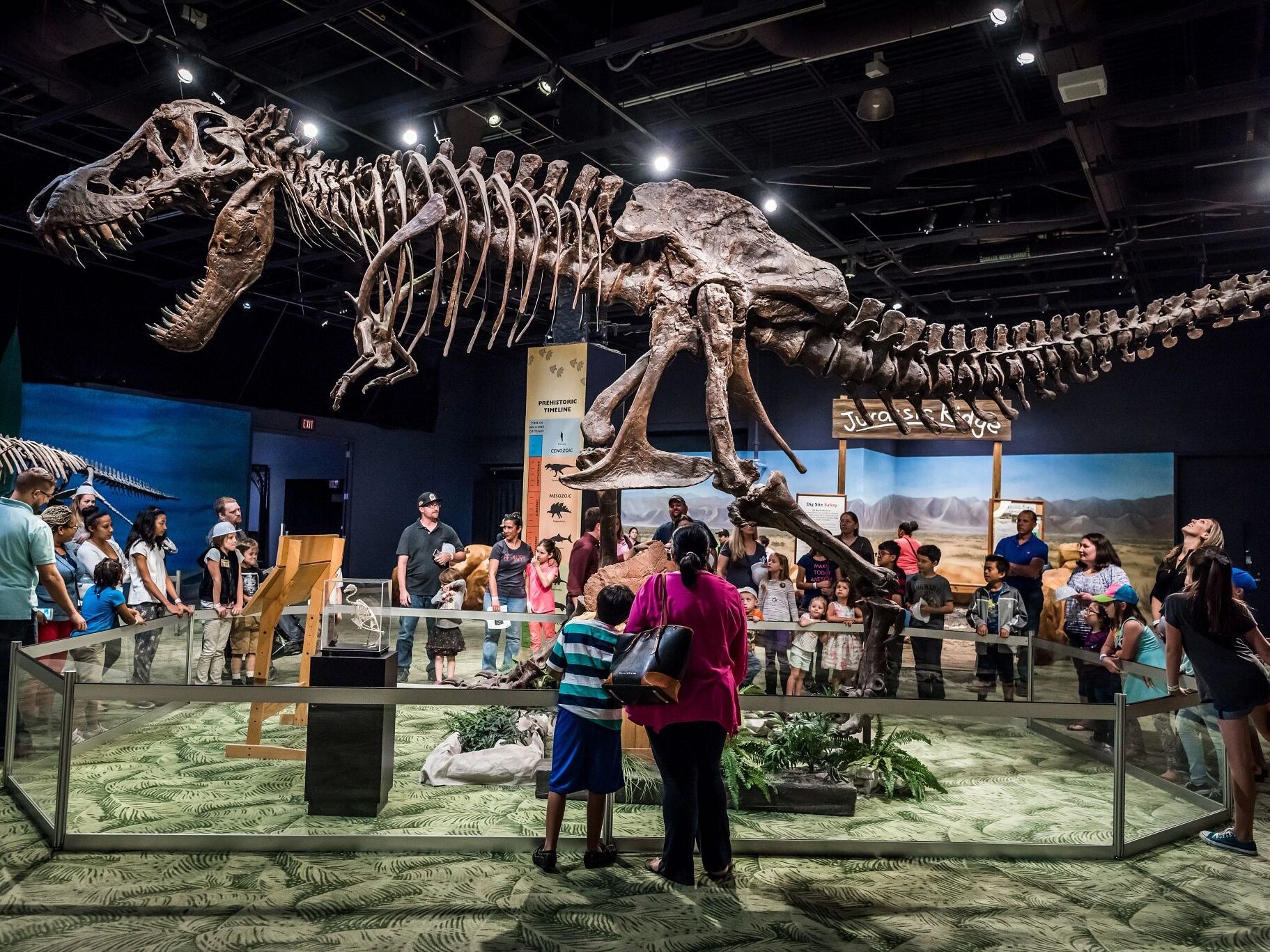 Picture of Orlando Science Center