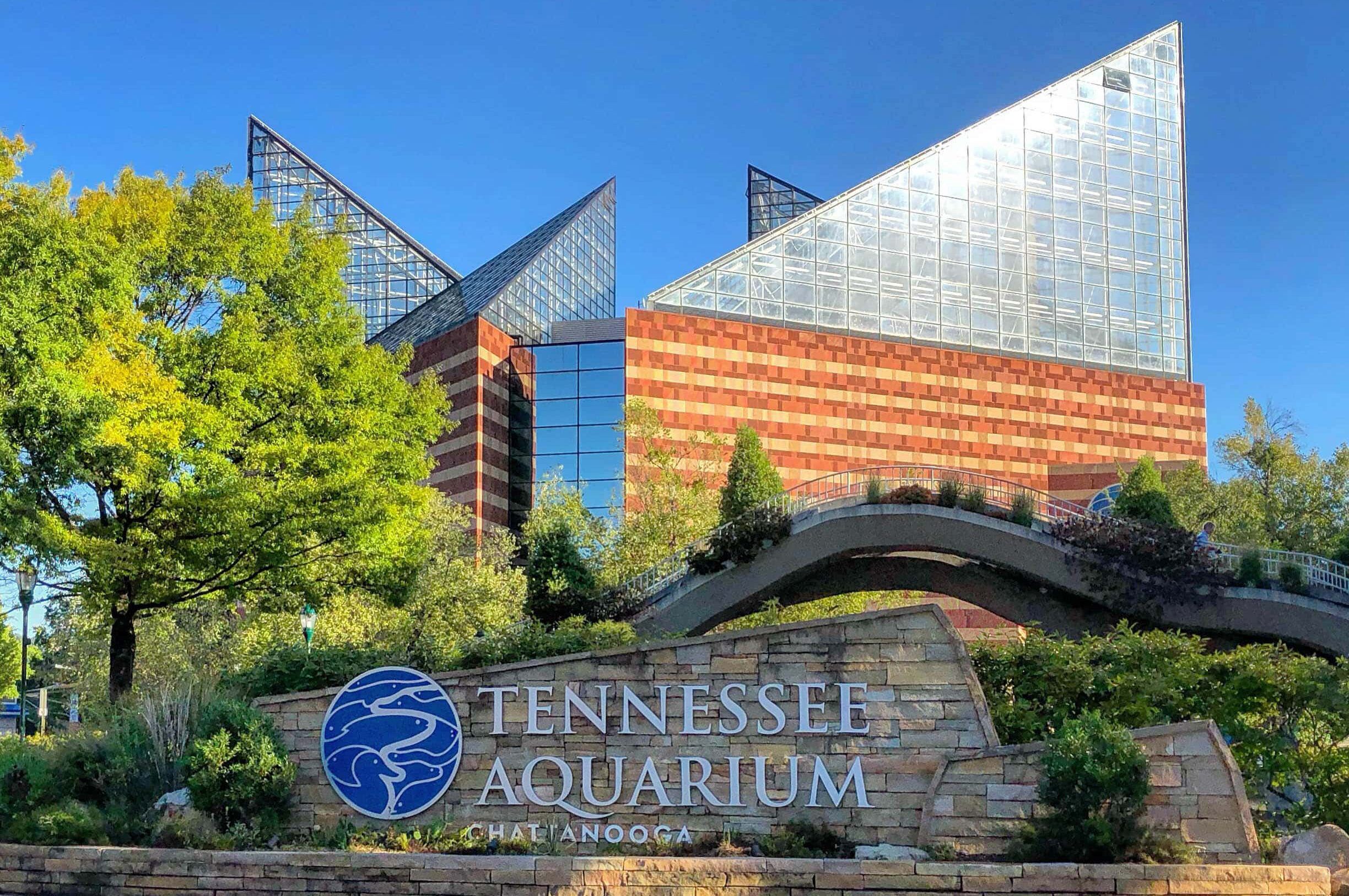 Picture of Tennessee Aquarium