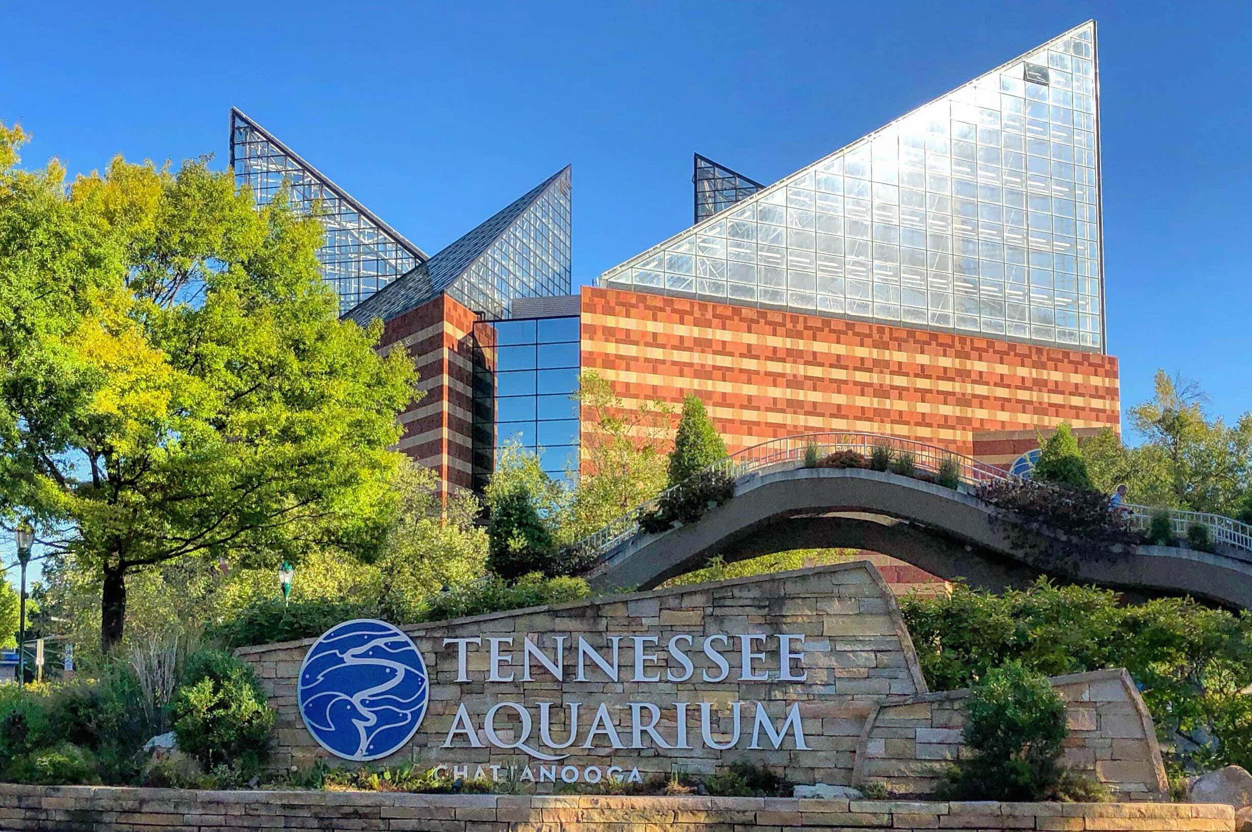 Picture of Tennessee Aquarium