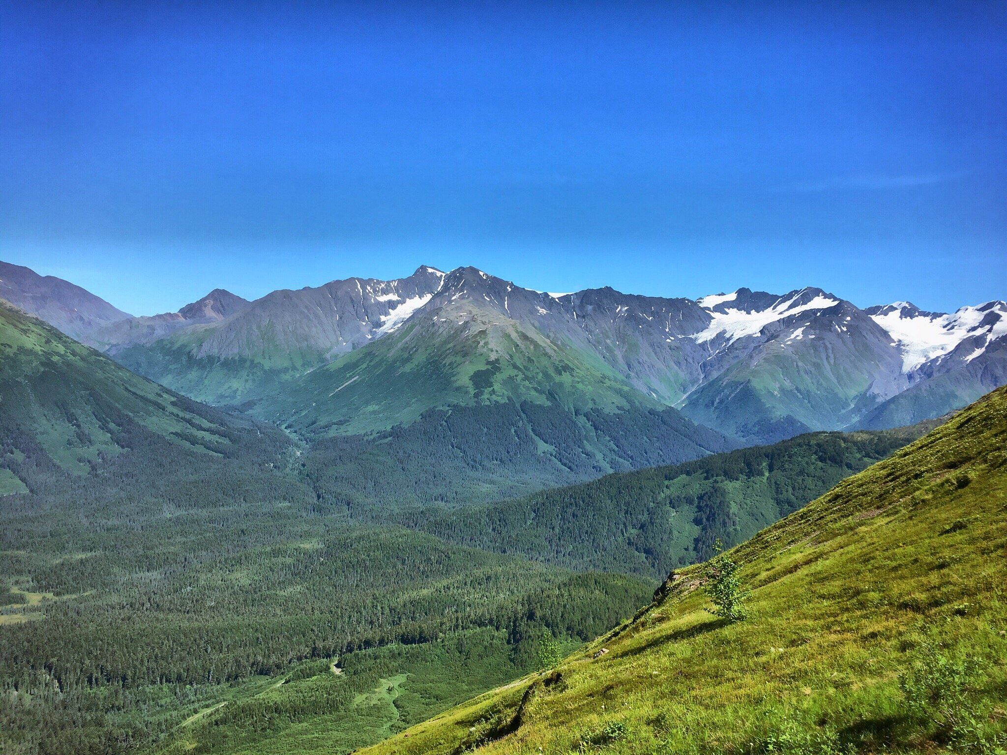 Picture of Things to Do in Girdwood