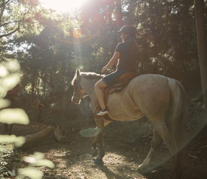Picture of Horseback Riding