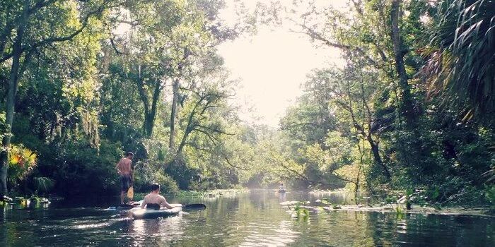 Picture of Wekiwa Springs
