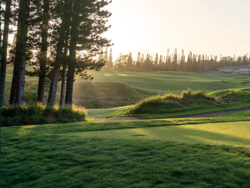 Picture of Kapalua Golf