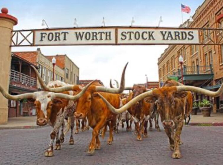 Picture of Fort Worth Stockyards