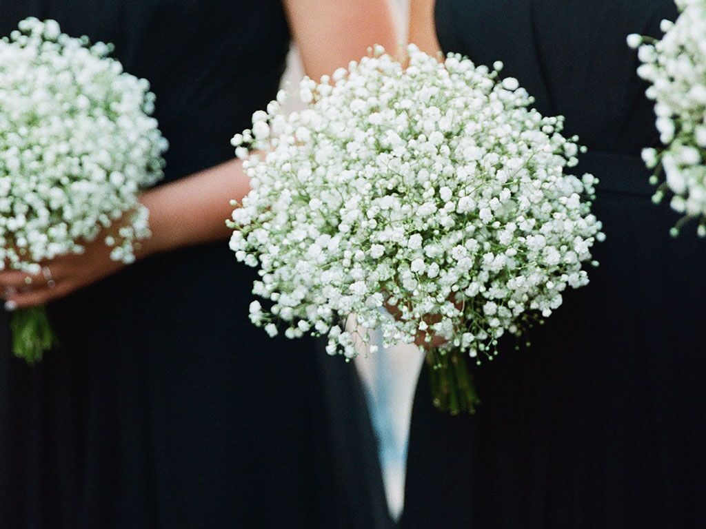 21 White Baby's Breath Bush by Bloom Room