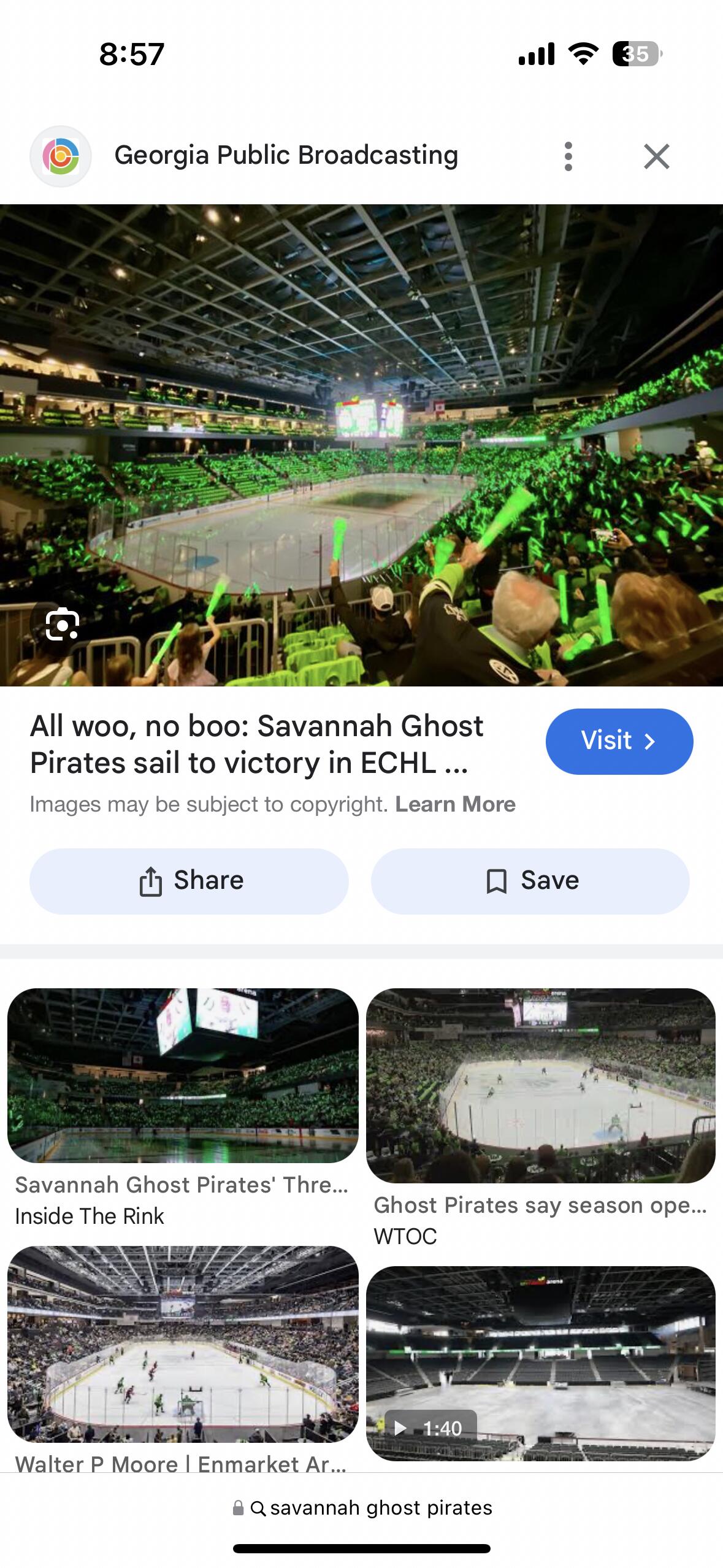 Picture of Savannah Ghost Pirates