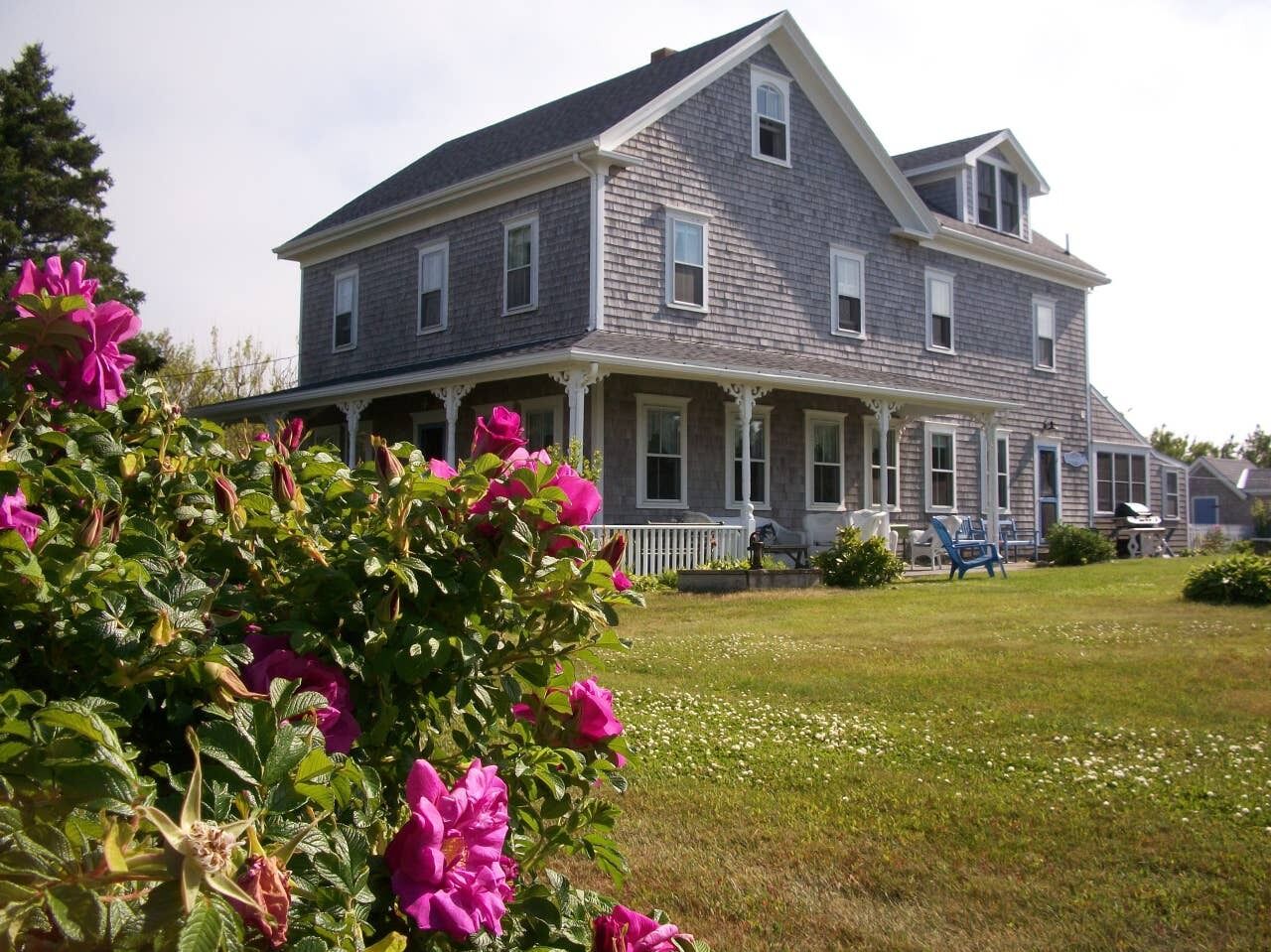 Picture of Summer Hill 