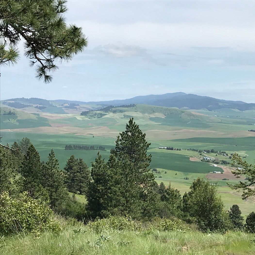 Picture of Kamiak Butte County Park