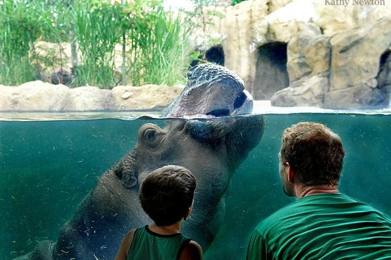Picture of Cincinnati Zoo & Botanical Garden