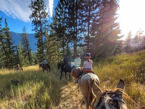 Picture of Horseback Riding